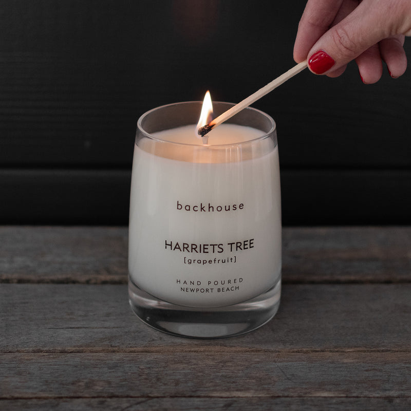 Modern Scented Candles grapefruit | Timeless Glass Jar | backhouse fragrances
