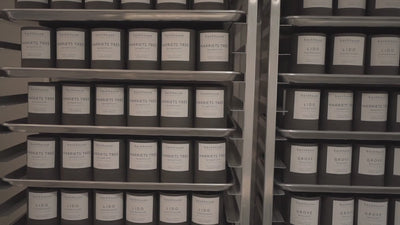 Hurricane candle collection displayed in glass vessels